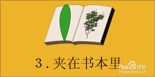 小學(xué)生書(shū)簽制作方法