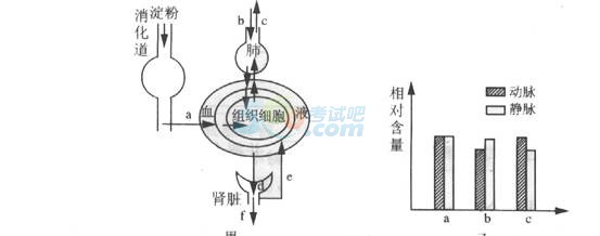 2016年中考生物模擬試題及答案(13)1