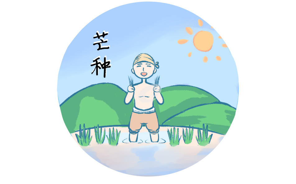 芒種節(jié)氣經(jīng)典祝福語