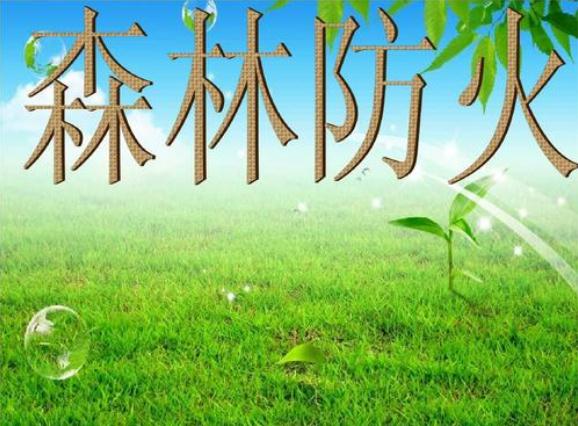 2020中小學(xué)生關(guān)于森林防火的作文5篇