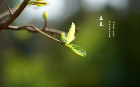 生肖劃分是從立春還是除夕來(lái)算2020_生肖是看立春還是除夕