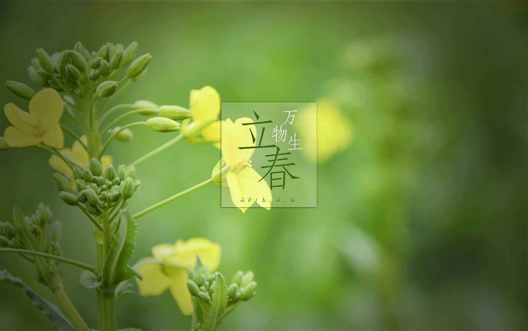 立春吃什么蔬菜比較好_立春節(jié)氣飲食