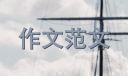 2020高三議論文作文800字