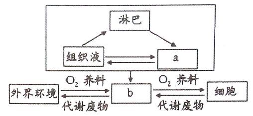 高二生物必修三重要知識(shí)點(diǎn)